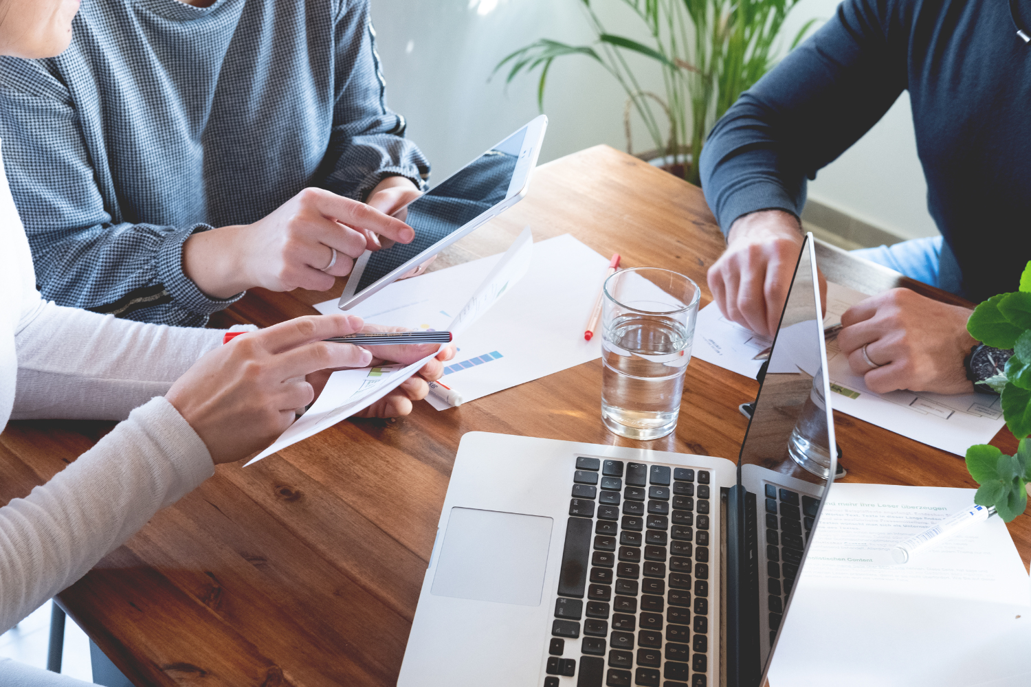 Consultoria especializada